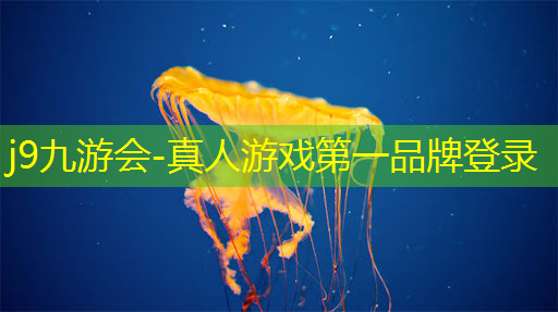 j9九游会-真人游戏第一品牌登录：几年前的一款3d坦克游戏