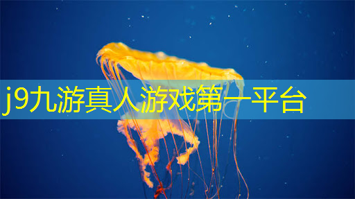 j9九游会-真人游戏第一品牌登录：3d版老人恐怖游戏大全