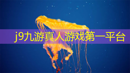j9九游真人游戏第一平台：游戏原画和厚涂头像一样吗