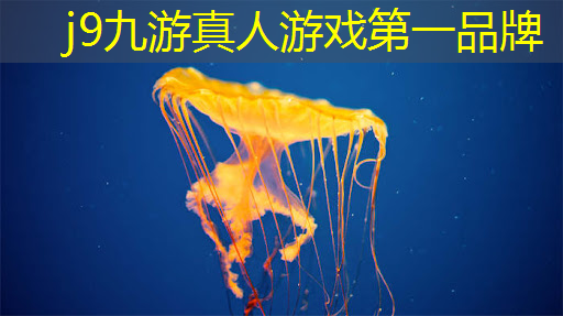 j9九游真人游戏第一品牌：游戏原画科普知识有哪些