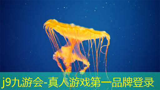 j9九游真人游戏第一品牌：游戏原画被ai取代了吗