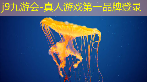 j9九游会真人第一品牌：游戏原画为什么画黑白色