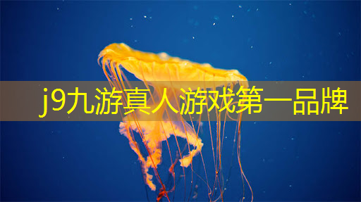 j9九游会-真人游戏第一品牌登录：电竞青年职业技能大赛：感受电竞独特魅力，探索无限可能！