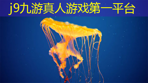 j9九游会官网-真人游戏第一品牌：怎么临摹游戏原画画