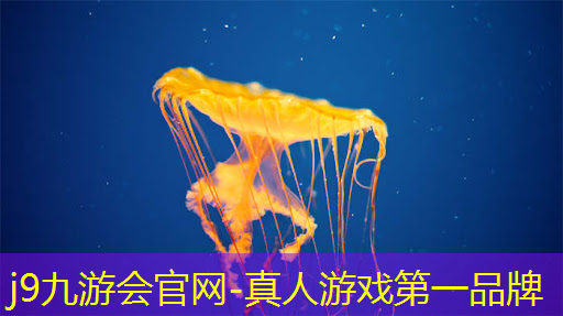 j9九游会-真人游戏第一品牌登录：弟弟游戏推荐3d