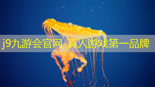 j9九游会官网-真人游戏第一品牌：数字游戏马戏团3d
