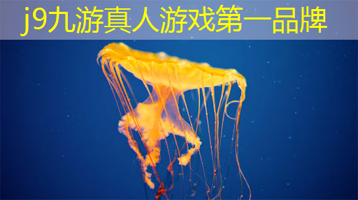 j9九游真人游戏第一品牌：昆明游戏原画设计费用大概多少