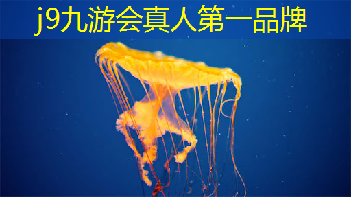 j9九游会官网-真人游戏第一品牌：最便宜的游戏小程序推荐