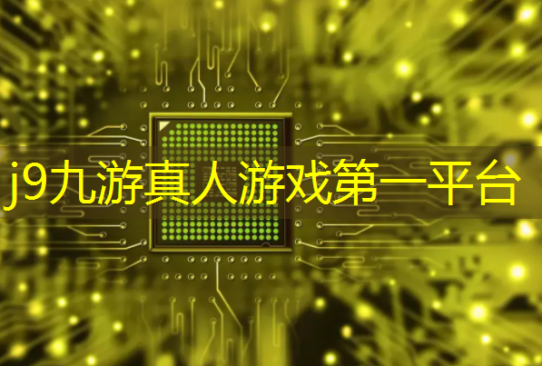 玩乐不用实名认证的恐龙经营游戏3d