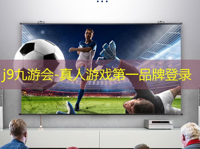 4399的3d游戏动不了