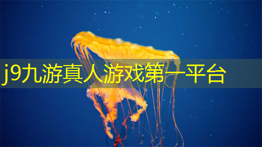 推荐精致3d游戏手游有哪些