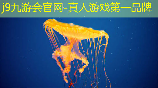 3d迷宫跑道游戏攻略