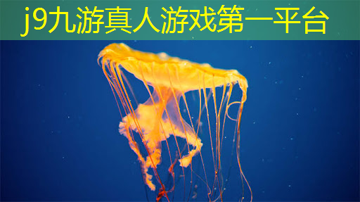 游戏原画科普知识有哪些