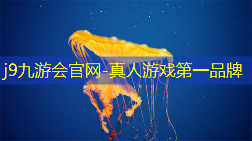 3d漫画地球ol游戏系统